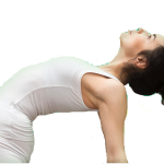 PhenoPen CBD - celeiro - farmacia