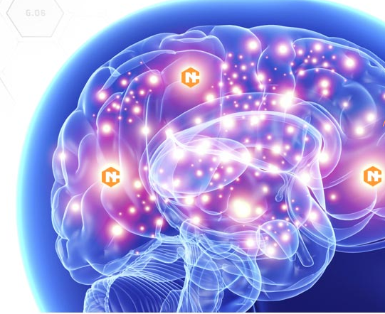 BrainPlus IQ – como tomar – ingredientes – funciona