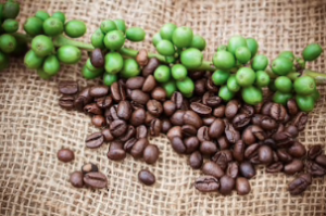 Green Coffee – onde comprar em Portugal