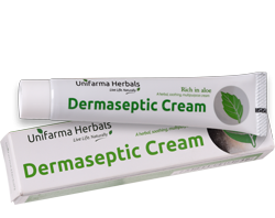 Dermaseptic  – comentarios – opiniões – funciona – preço – onde comprar em Portugal – farmacia